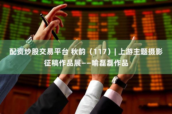 配资炒股交易平台 秋韵（117）| 上游主题摄影征稿作品展——喻磊磊作品