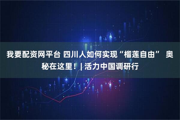 我要配资网平台 四川人如何实现“榴莲自由”  奥秘在这里！| 活力中国调研行