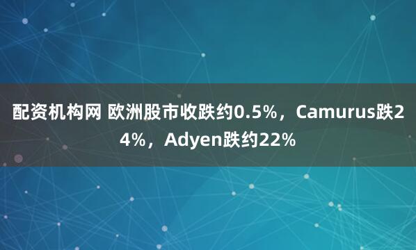 配资机构网 欧洲股市收跌约0.5%，Camurus跌24%，Adyen跌约22%
