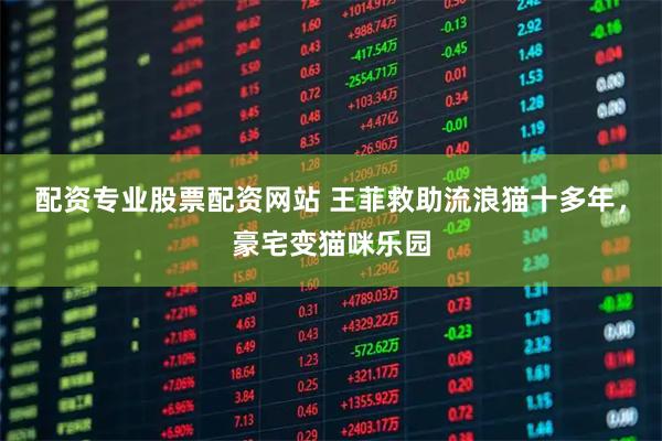 配资专业股票配资网站 王菲救助流浪猫十多年，豪宅变猫咪乐园
